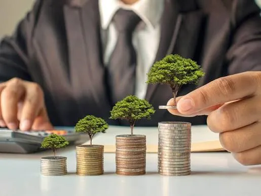 Coins of increasing height with small trees representing growth