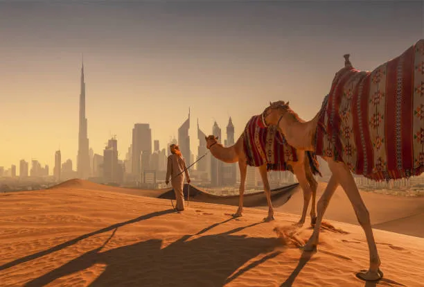 Camels crossing golden dunes with Dubai's skyline in the distance at sunset